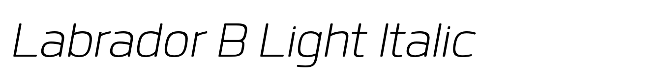 Labrador B Light Italic